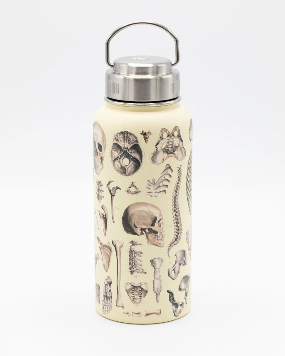 Stainless Steel Bottle: Skeleton, 32oz