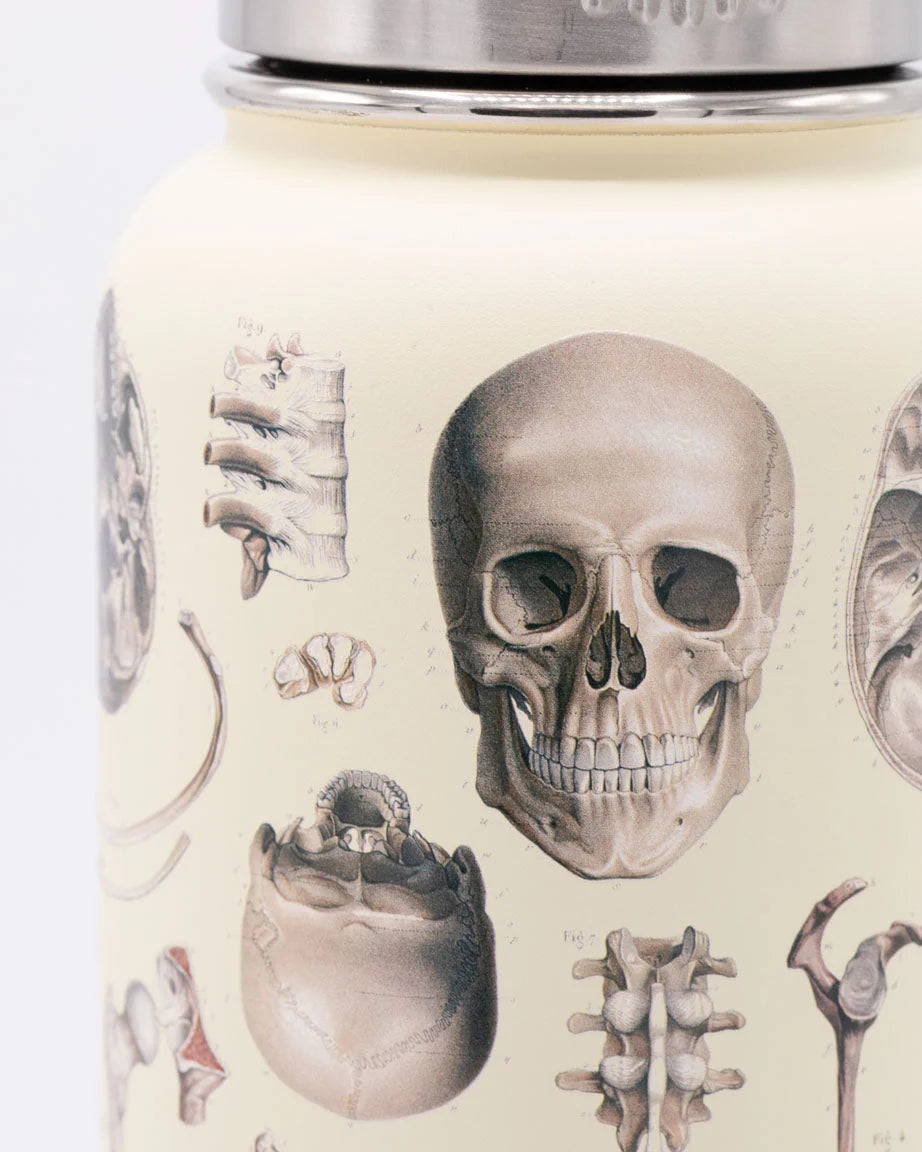 Stainless Steel Bottle: Skeleton, 32oz