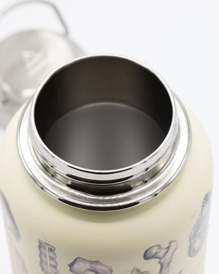 Stainless Steel Bottle: Skeleton, 32oz