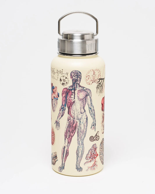 Stainless Steel Bottle: Anatomy, 32oz
