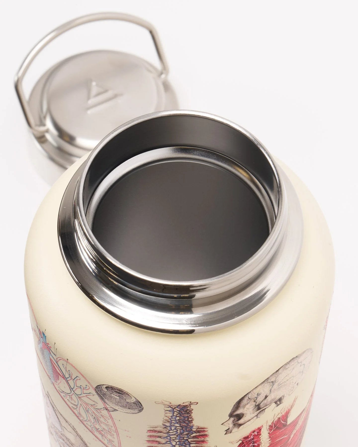Stainless Steel Bottle: Anatomy, 32oz