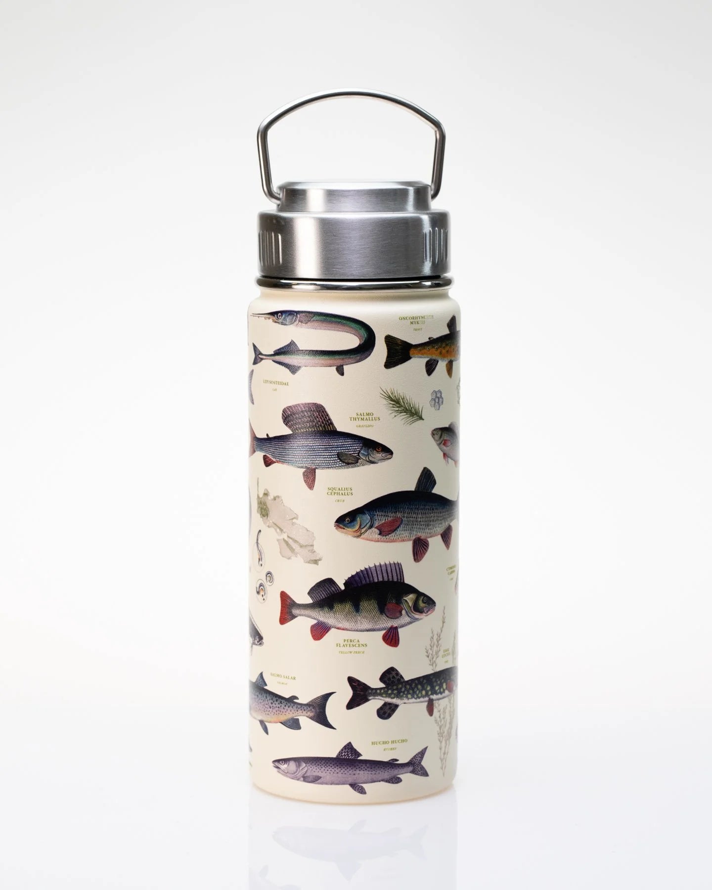 Stainless Steel Bottle: Freshwater Fish, 18oz (Copy)