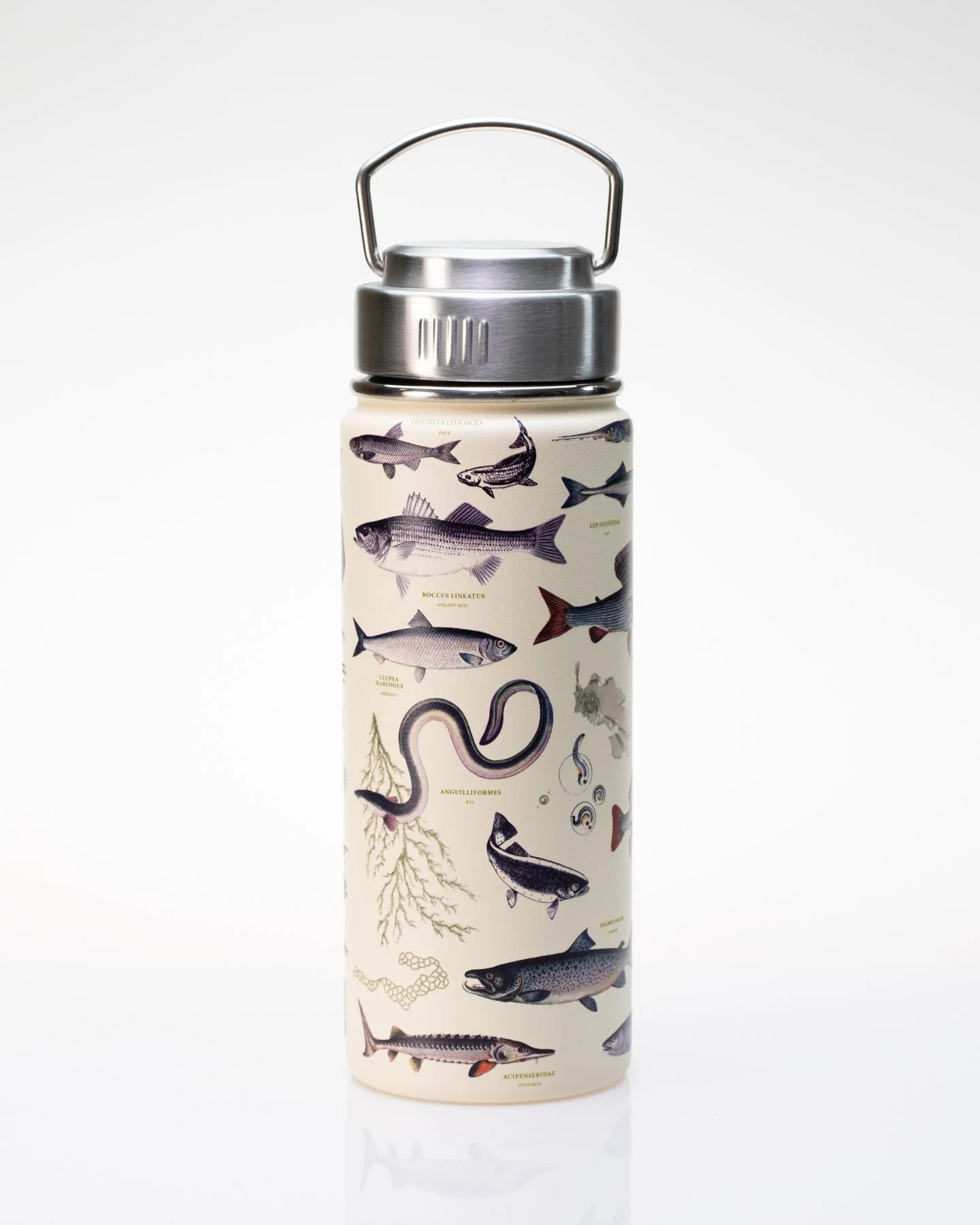 Stainless Steel Bottle: Freshwater Fish, 18oz (Copy)