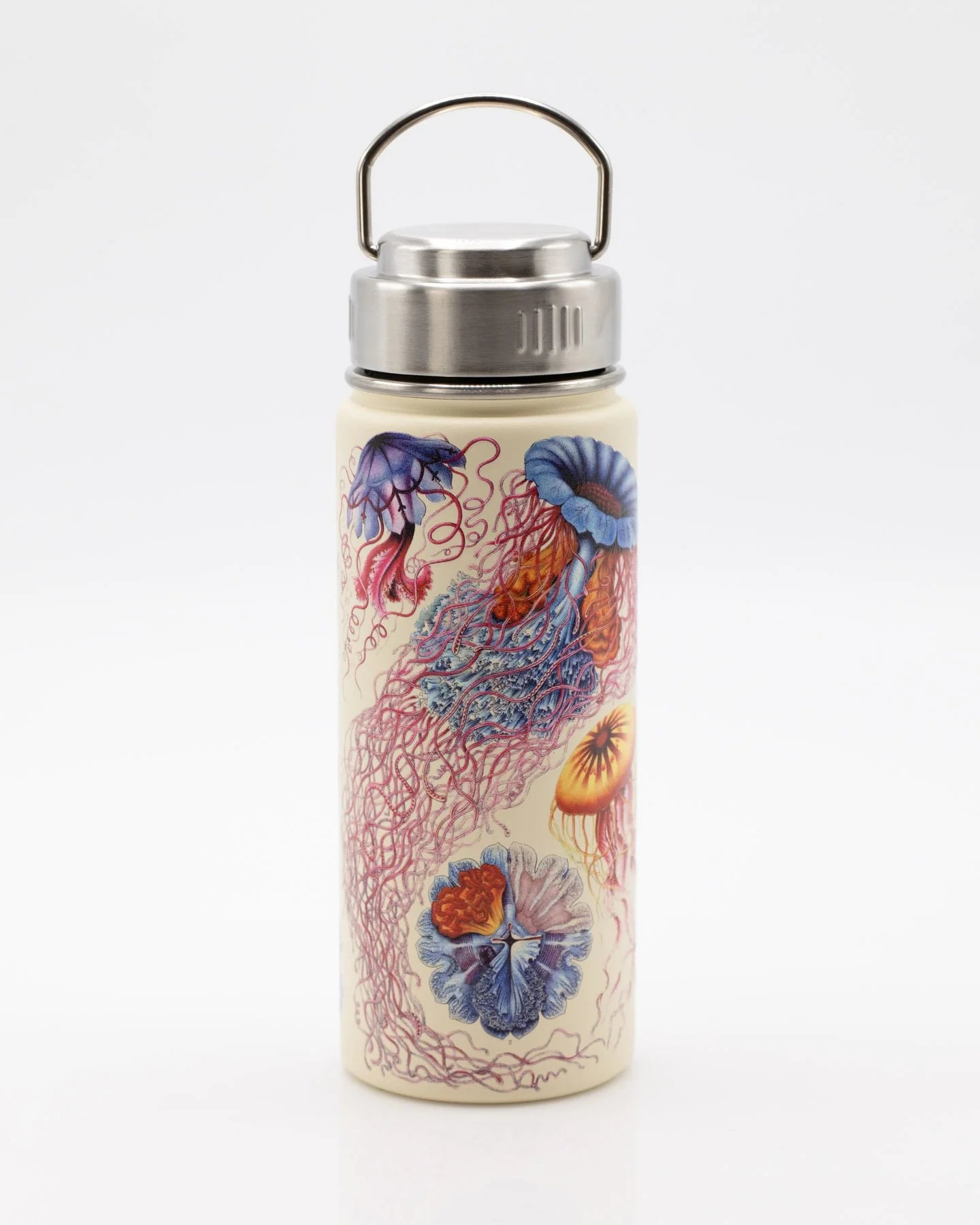 Stainless Steel Bottle: Jellyfish, 18oz