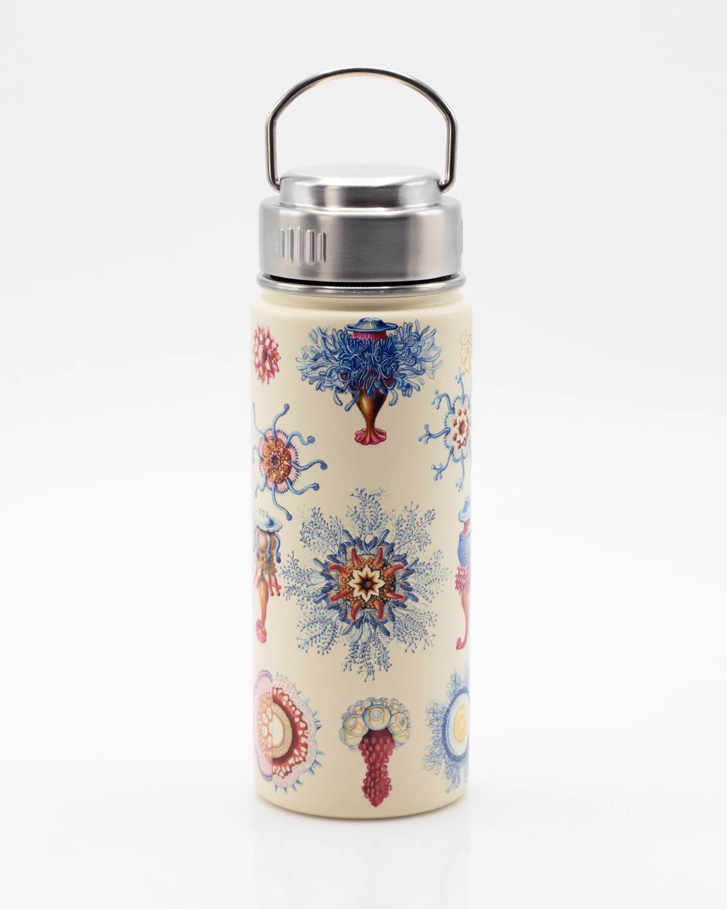 Stainless Steel Bottle: Jellyfish, 18oz