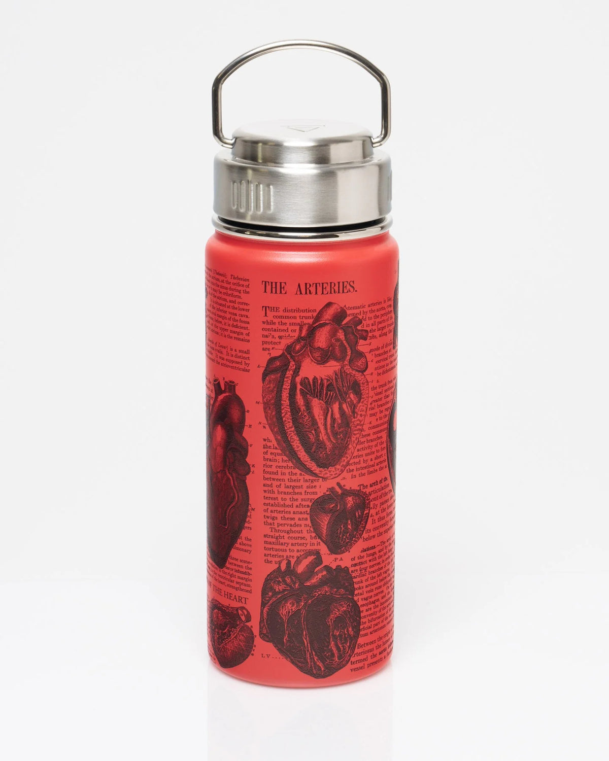 Stainless Steel Bottle: Anatomical Heart, 18oz