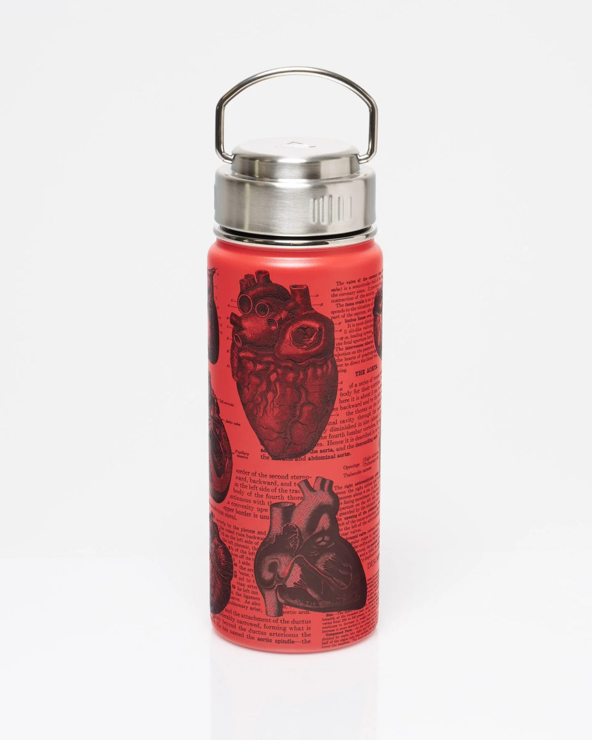 Stainless Steel Bottle: Anatomical Heart, 18oz