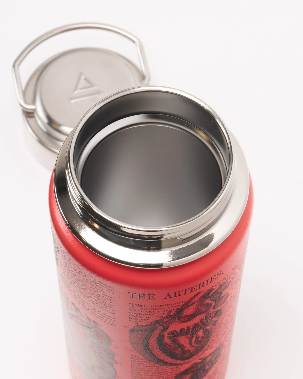 Stainless Steel Bottle: Anatomical Heart, 18oz