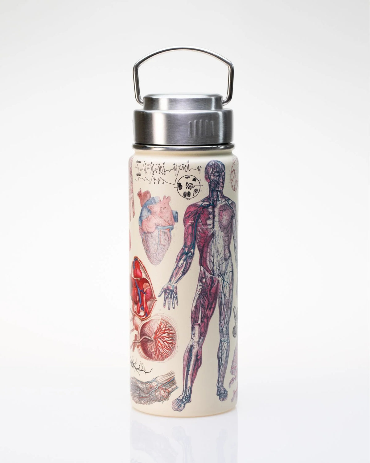 Stainless Steel Bottle: Anatomy, 18oz