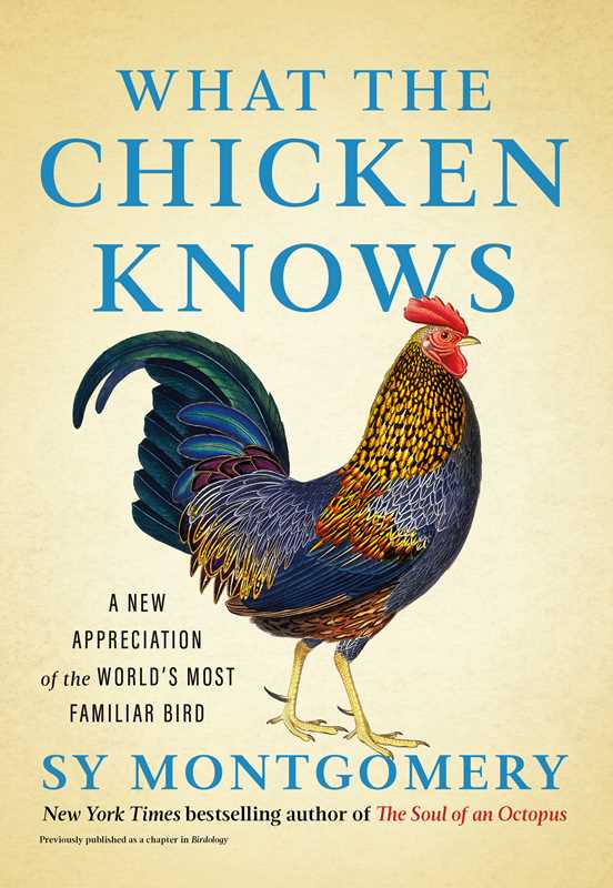 What the Chicken Knows by Sy   Montgomery