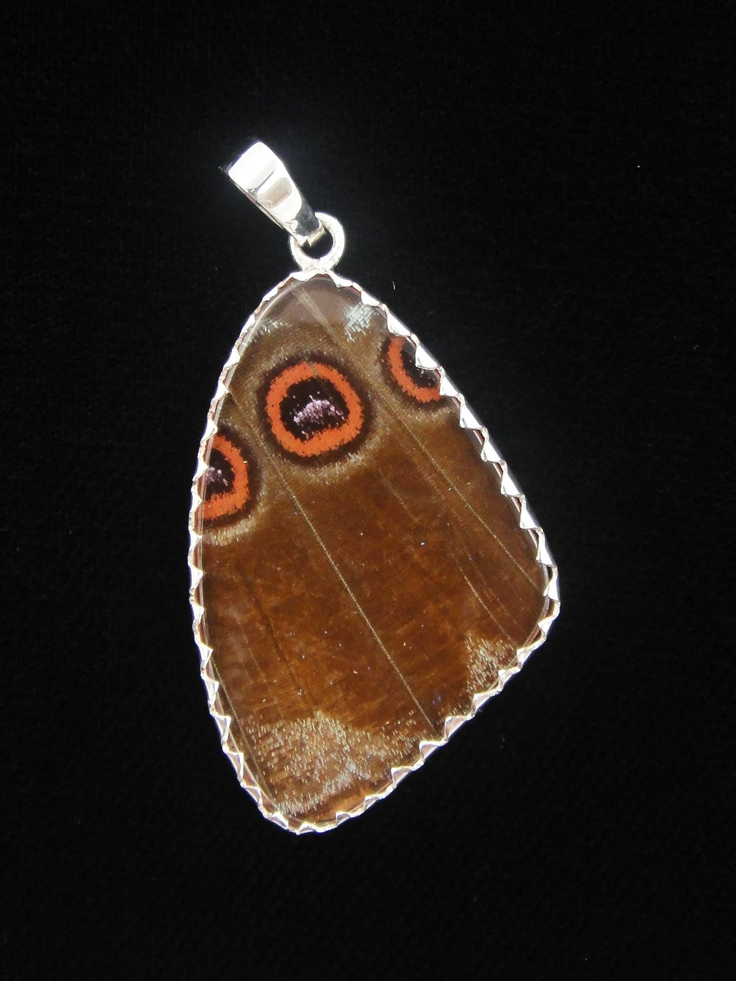 Real Butterfly Wing Pendant - "Blue Morpho", Large