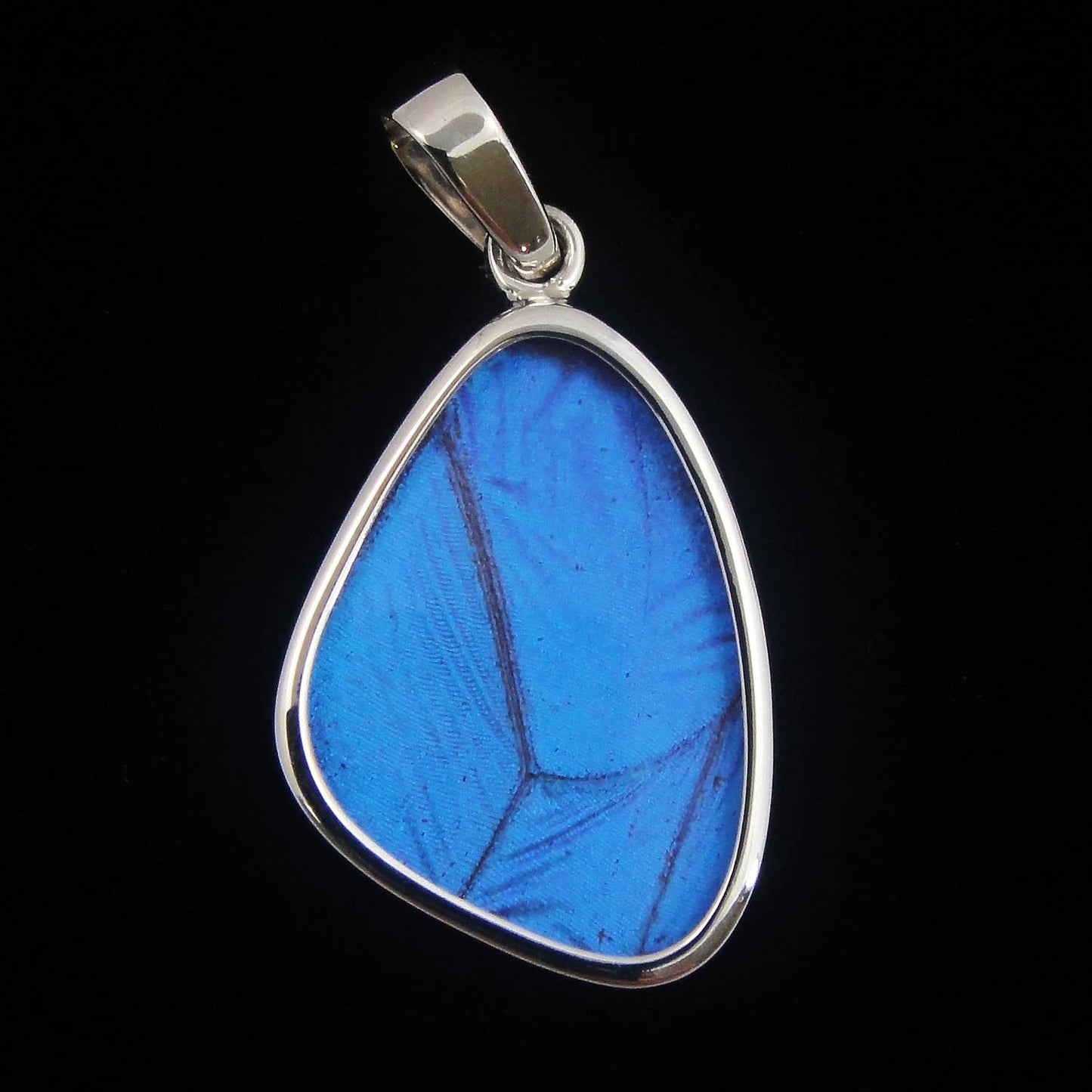 Real Butterfly Wing Pendant: Blue Morpho