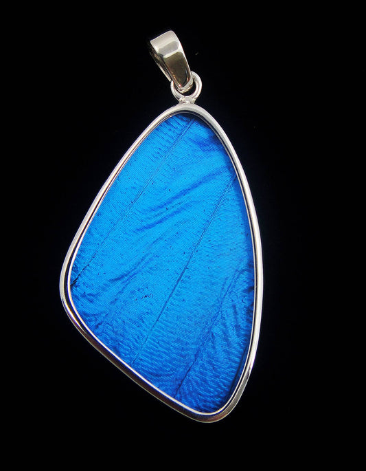Real Butterfly Wing Pendant - "Blue Morpho", Large