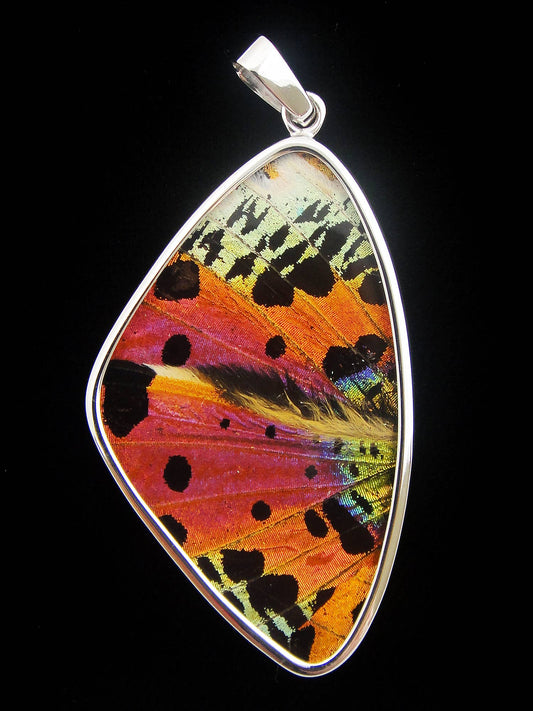 Real Butterfly Wing Pendant - Sunset Moth, Medium