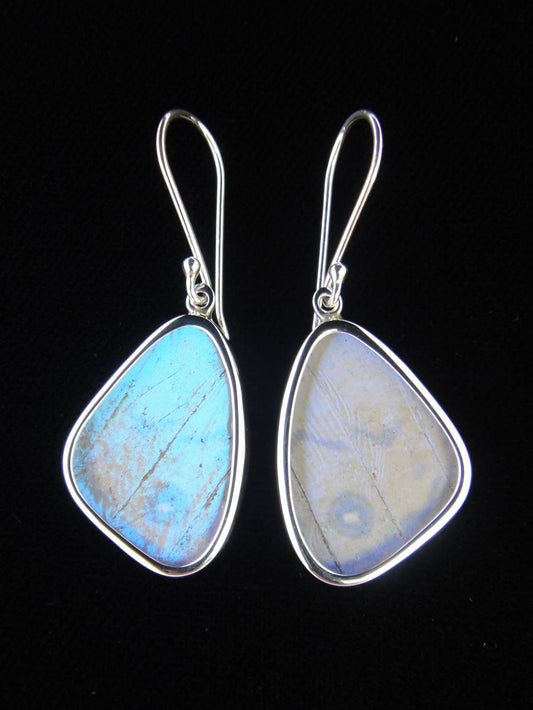 Real butterfly wing earrings: "Pearl Blue", small