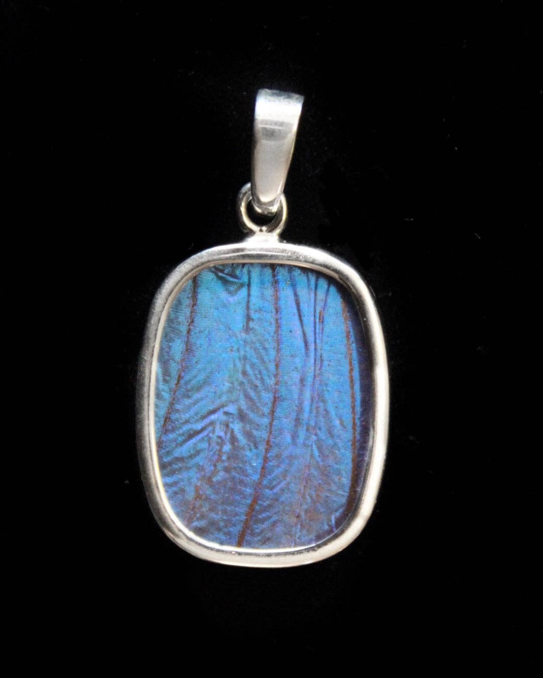 Real Butterfly Wing Pendant: Blue Morpho, Rectangular