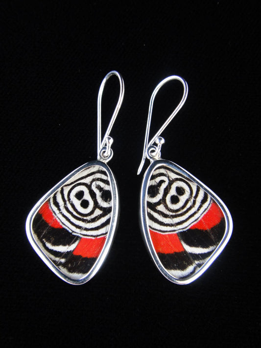 Real Butterfly Wing Earrings: "88" Butterfly