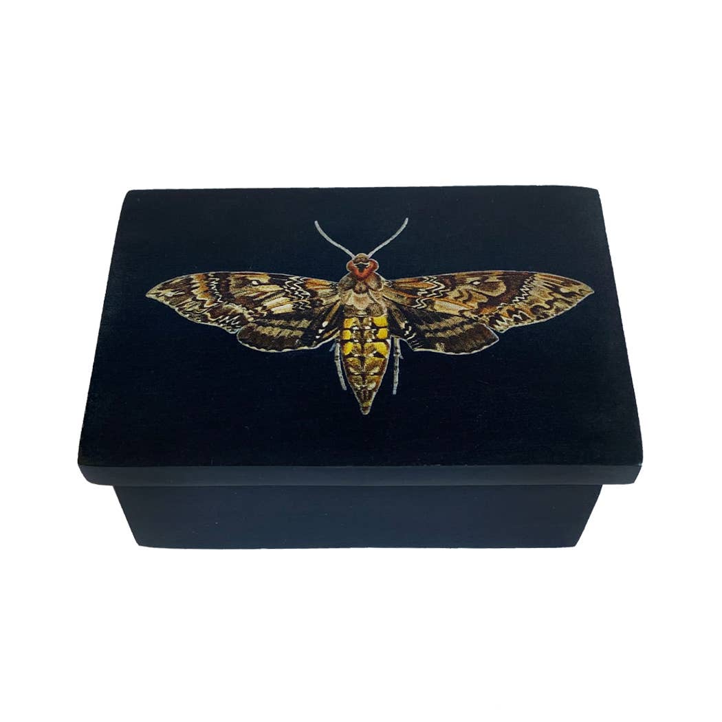 3" Hawkmoth Black Soap Stone Trinket-Jewelry Box
