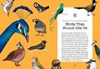 Bird Talk: Hilariously Accurate Ways to Identify Birds