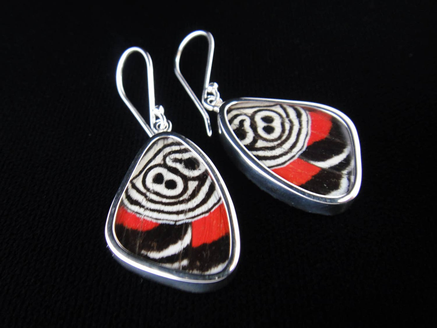 Real Butterfly Wing Earrings: "88" Butterfly