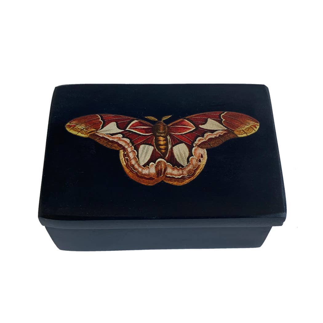 3" Atlas Moth Black Soapstone Trinket Box