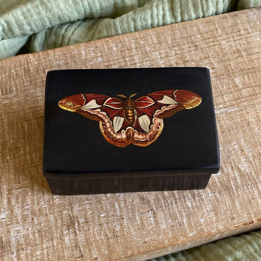 3" Atlas Moth Black Soapstone Trinket Box