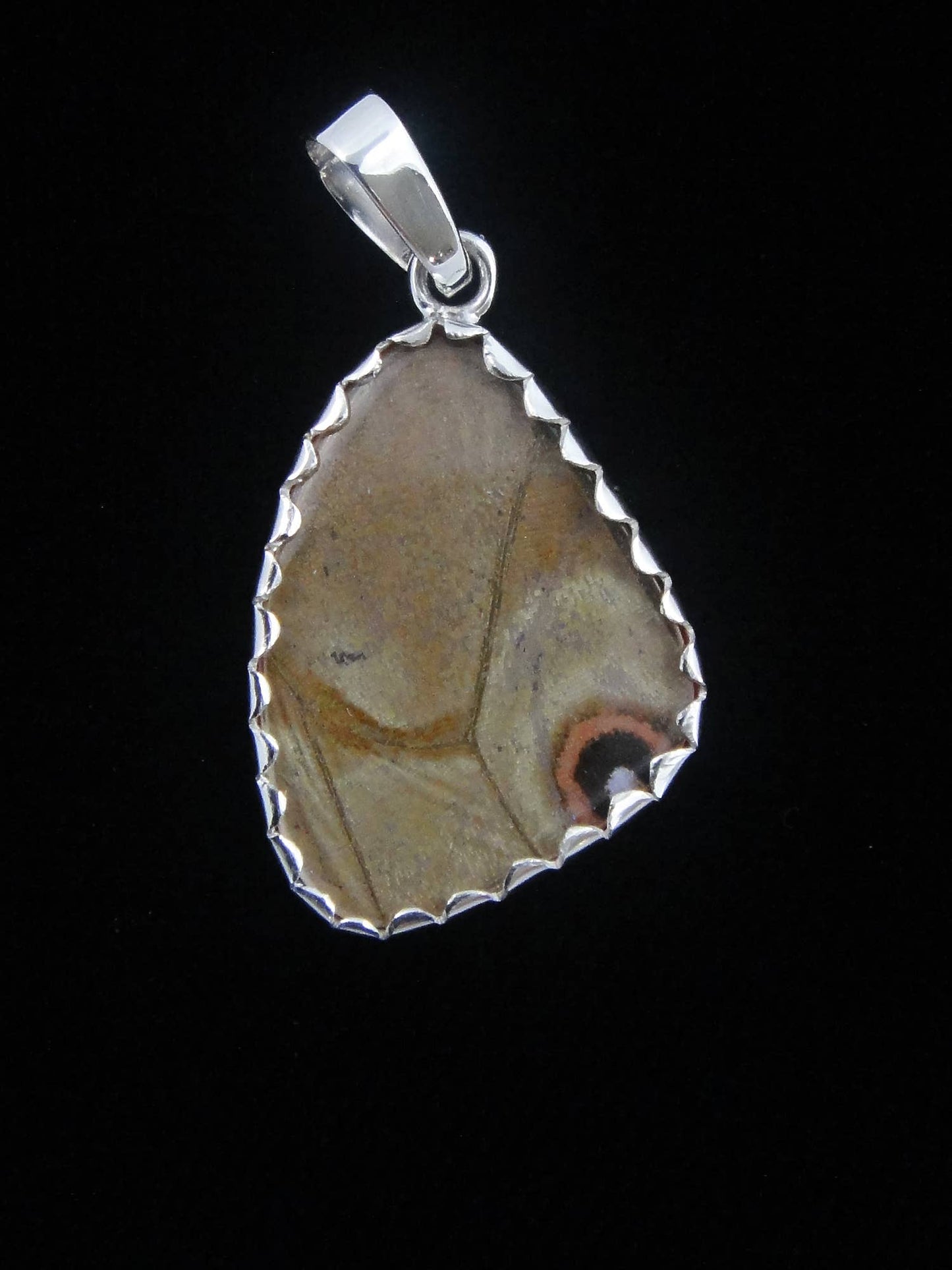 Real Butterfly Wing Pendant: Blue Morpho