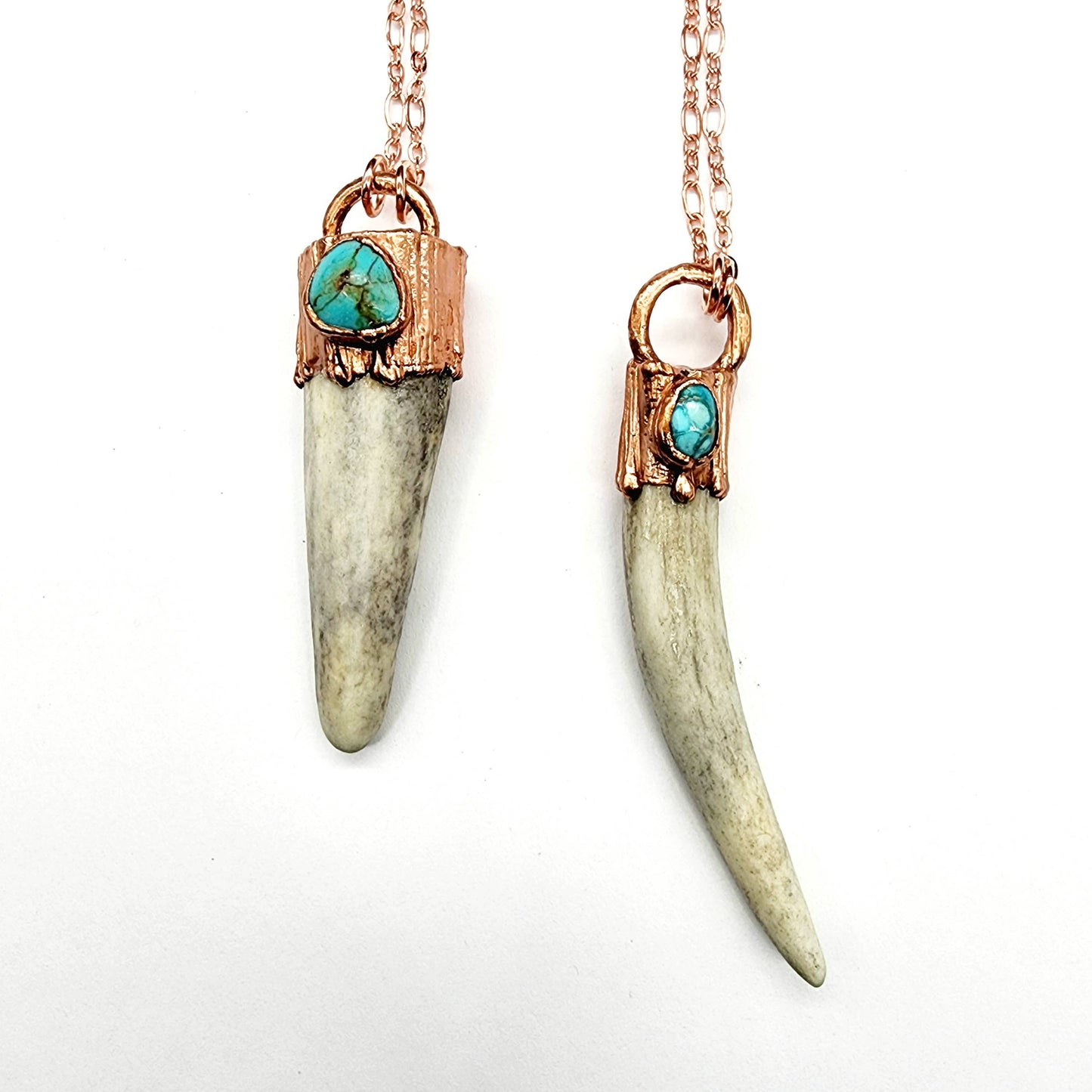 Naturally Shed Antler with Turquoise Necklace