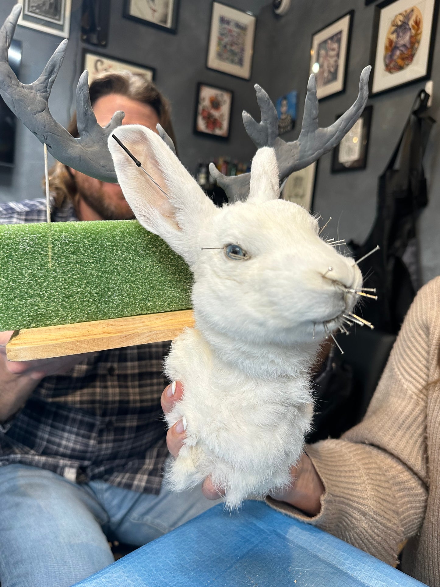 Introduction to Taxidermy: Jackalope Shoulder Mount (Nov. 7th, 2026)