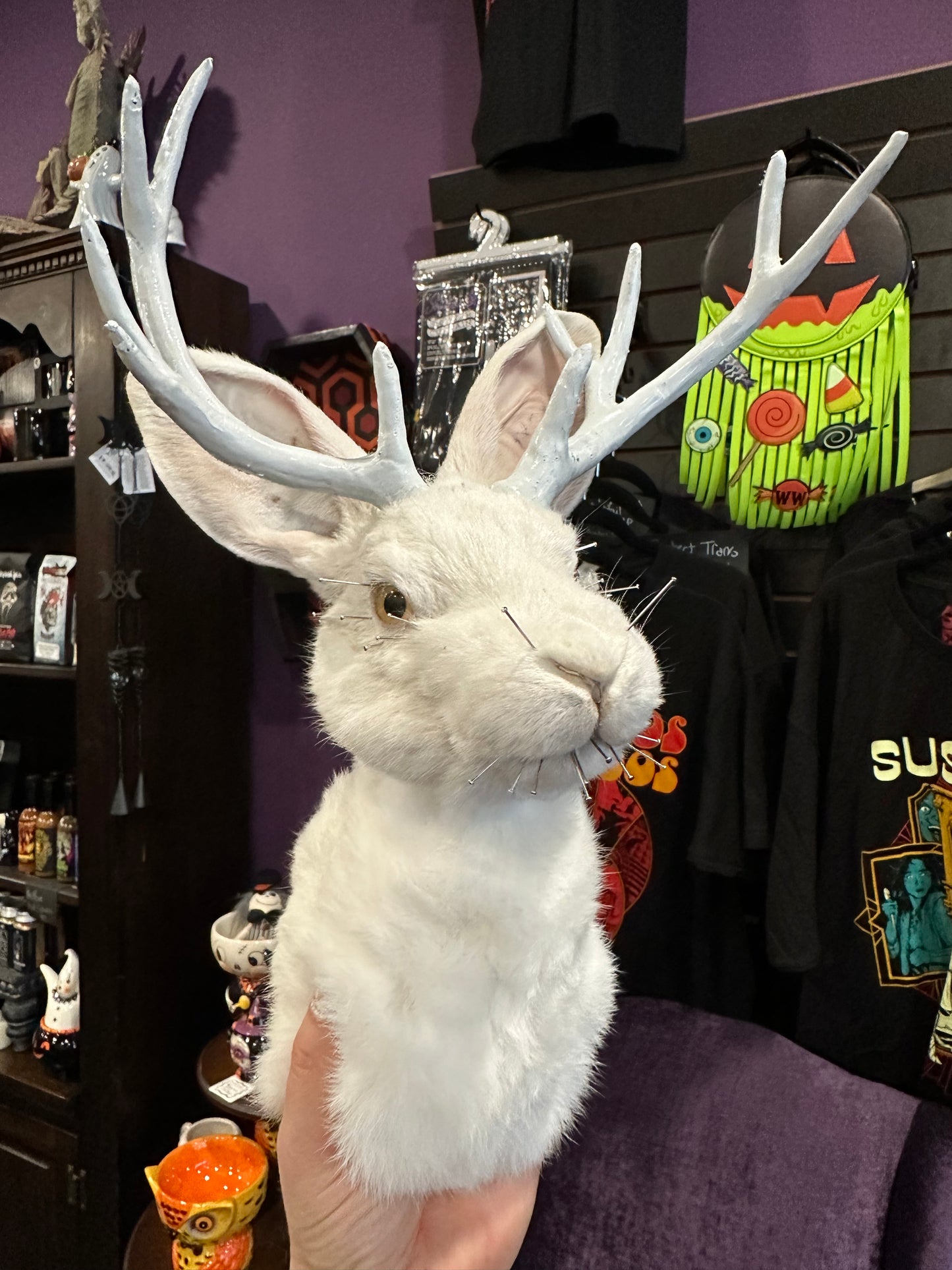 Introduction to Taxidermy: Jackalope Shoulder Mount (Nov. 7th, 2026)