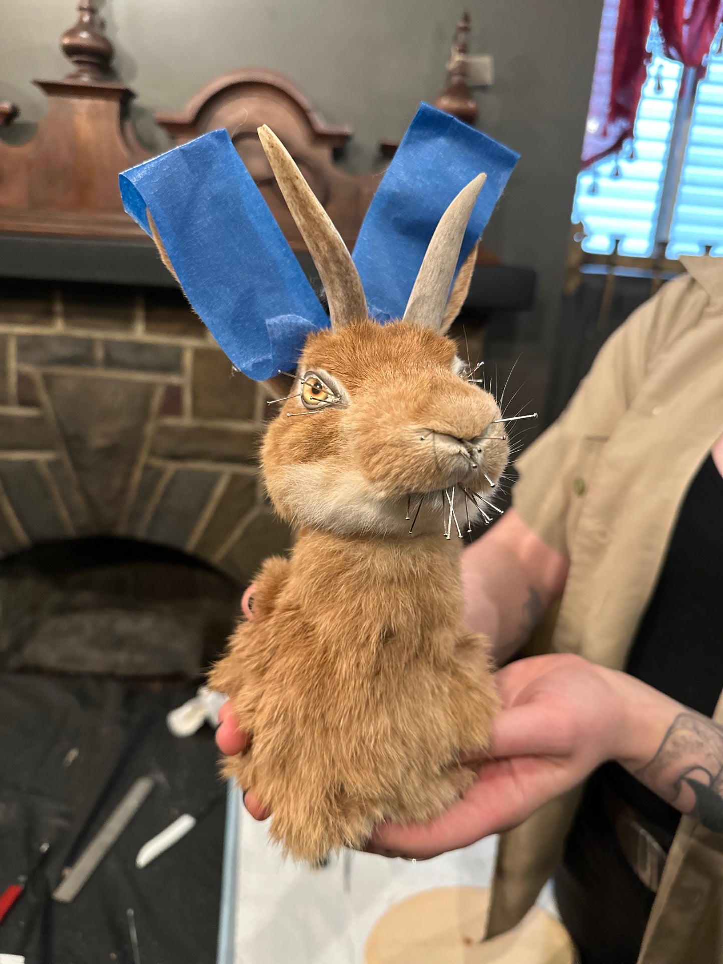 Introduction to Taxidermy: Jackalope Shoulder Mount (Nov. 7th, 2026)